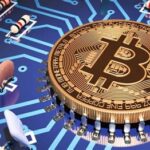 Bitcoin ve Diğer Kripto Paraların Koşullarını Eşitlemek